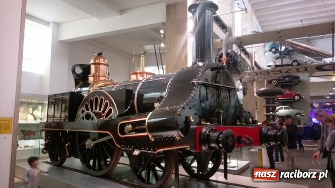 Zdjęcie w galerii na portalu naszraciborz.pl: Uczniowie Szkoły Podstawowej nr 4 odkrywali Londyn  wiadomości z regionu