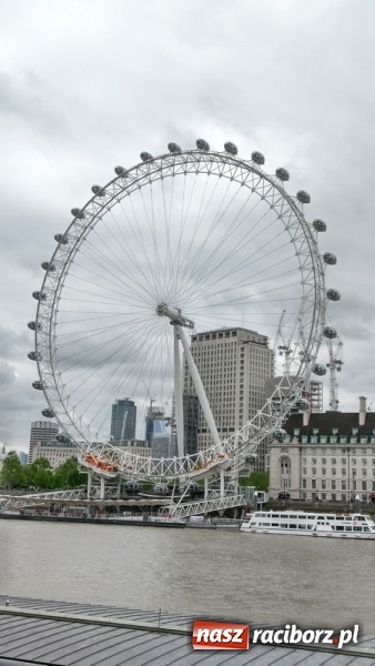 Zdjęcie w galerii na portalu naszraciborz.pl: Uczniowie Szkoły Podstawowej nr 4 odkrywali Londyn  wiadomości z regionu