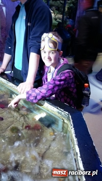 Zdjęcie w galerii na portalu naszraciborz.pl: Uczniowie Szkoły Podstawowej nr 4 odkrywali Londyn  wiadomości z regionu