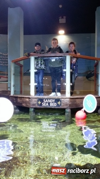 Zdjęcie w galerii na portalu naszraciborz.pl: Uczniowie Szkoły Podstawowej nr 4 odkrywali Londyn  wiadomości z regionu