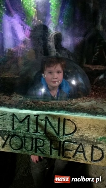 Zdjęcie w galerii na portalu naszraciborz.pl: Uczniowie Szkoły Podstawowej nr 4 odkrywali Londyn  wiadomości z regionu