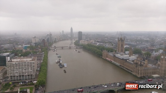 Zdjęcie w galerii na portalu naszraciborz.pl: Uczniowie Szkoły Podstawowej nr 4 odkrywali Londyn  wiadomości z regionu
