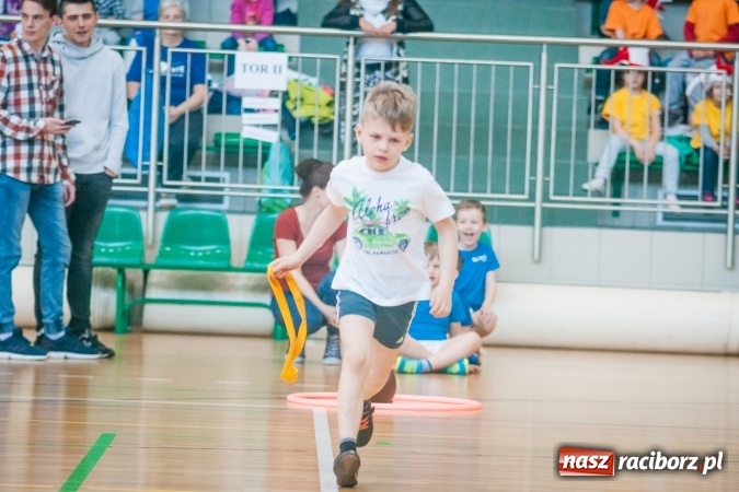 Zdjęcie w galerii na portalu naszraciborz.pl: XV Spartakiada przedszkolaków w Arenie Rafako wiadomości z regionu