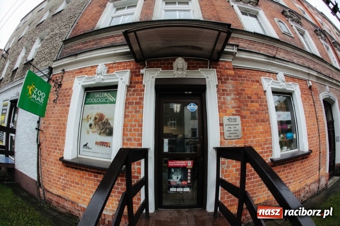 Zdjęcie w galerii na portalu naszraciborz.pl: Czym skorupka za młodu nasiąknie... czyli żywienie szczenięcia inwestycją w zdrowie dorosłego psa wiadomości z regionu