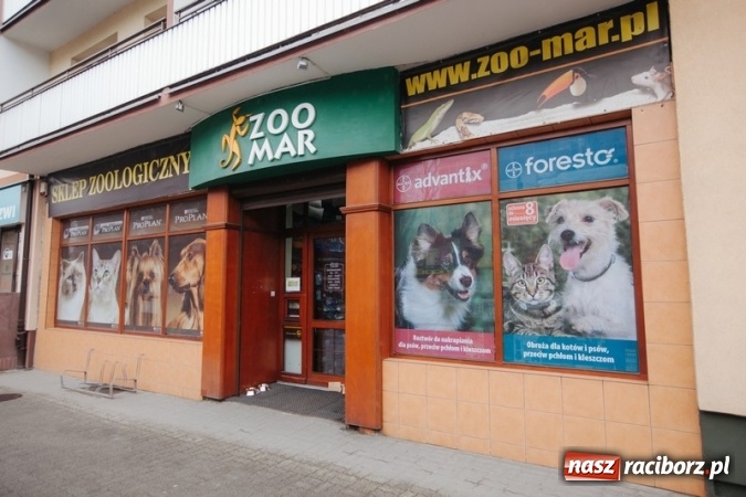 Zdjęcie w galerii na portalu naszraciborz.pl: Czym skorupka za młodu nasiąknie... czyli żywienie szczenięcia inwestycją w zdrowie dorosłego psa wiadomości z regionu