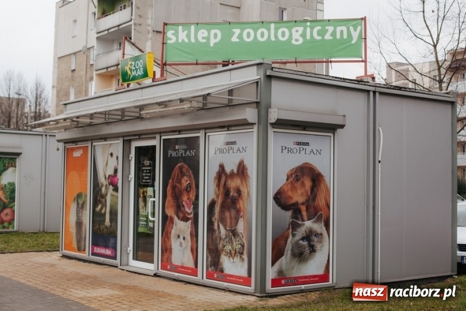 Zdjęcie w galerii na portalu naszraciborz.pl: Czym skorupka za młodu nasiąknie... czyli żywienie szczenięcia inwestycją w zdrowie dorosłego psa wiadomości z regionu
