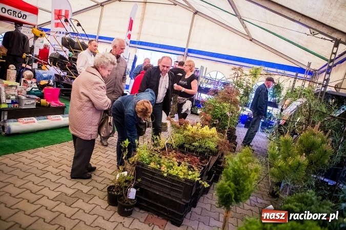Zdjęcie w galerii na portalu naszraciborz.pl: Ruszyła 17. pietrowicka Eko-Wystawa. Spora frekwencja już od rana wiadomości z regionu