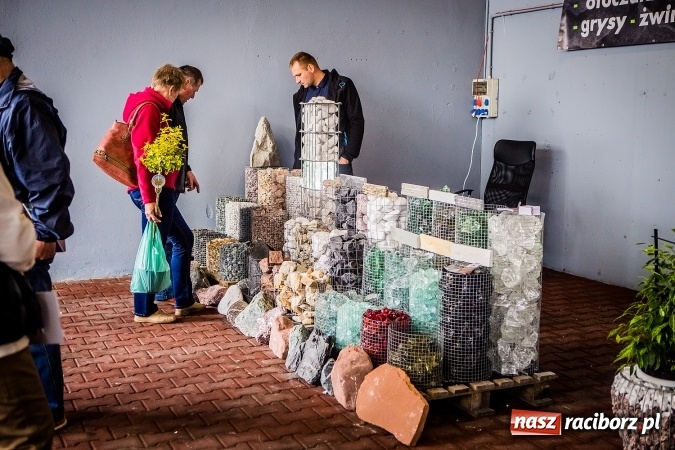 Zdjęcie w galerii na portalu naszraciborz.pl: Ruszyła 17. pietrowicka Eko-Wystawa. Spora frekwencja już od rana wiadomości z regionu