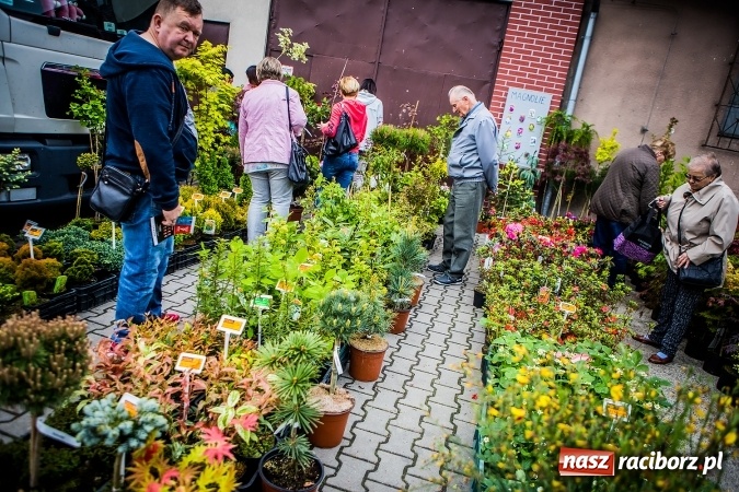 Zdjęcie w galerii na portalu naszraciborz.pl: Ruszyła 17. pietrowicka Eko-Wystawa. Spora frekwencja już od rana wiadomości z regionu
