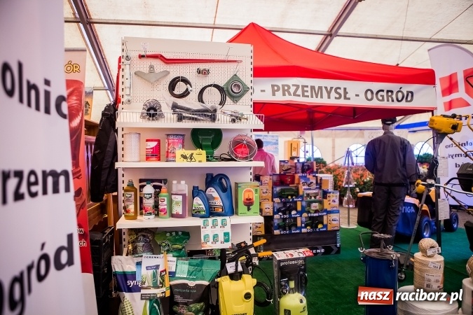 Zdjęcie w galerii na portalu naszraciborz.pl: Ruszyła 17. pietrowicka Eko-Wystawa. Spora frekwencja już od rana wiadomości z regionu