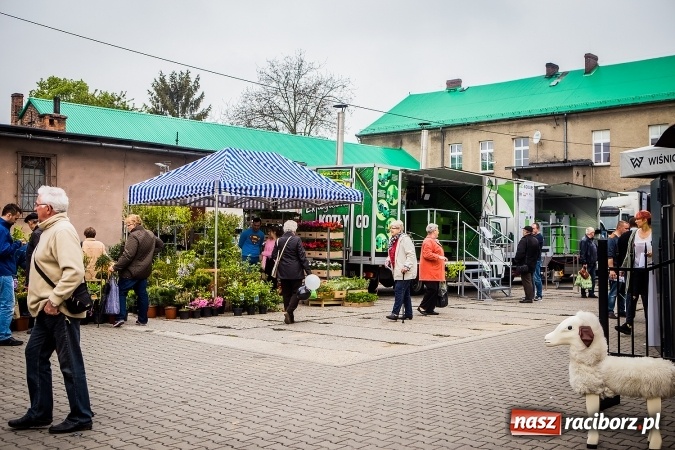 Zdjęcie w galerii na portalu naszraciborz.pl: Ruszyła 17. pietrowicka Eko-Wystawa. Spora frekwencja już od rana wiadomości z regionu
