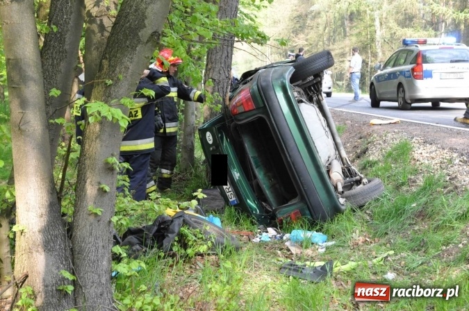 Zdjęcie w galerii na portalu naszraciborz.pl: Opel astra z Rybnika rozbił się na drzewie na trasie Kuźnia Raciborska - Rudy wiadomości z regionu