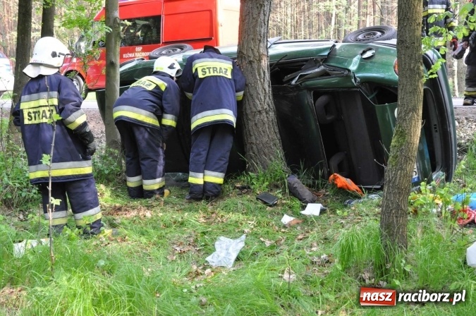Zdjęcie w galerii na portalu naszraciborz.pl: Opel astra z Rybnika rozbił się na drzewie na trasie Kuźnia Raciborska - Rudy wiadomości z regionu