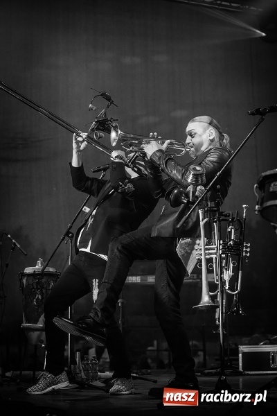 Zdjęcie w galerii na portalu naszraciborz.pl: Golec uOrkiestra na finał pietrowickiej Eko-Wystawy FOTORELACJA wiadomości z regionu