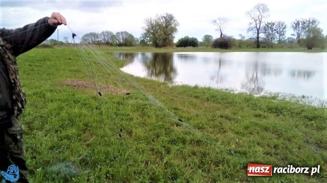 Zdjęcie w galerii na portalu naszraciborz.pl: Strażnicy Społecznej Straży Rybackiej zabezpieczyli sieci kłusownicze wiadomości z regionu