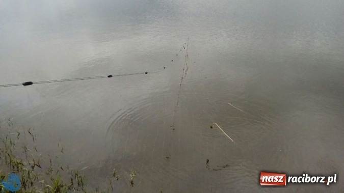 Zdjęcie w galerii na portalu naszraciborz.pl: Strażnicy Społecznej Straży Rybackiej zabezpieczyli sieci kłusownicze wiadomości z regionu