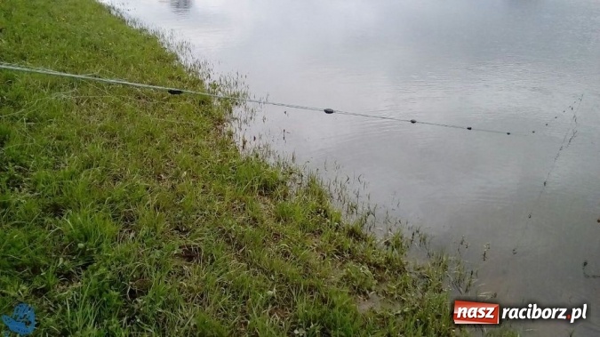 Zdjęcie w galerii na portalu naszraciborz.pl: Strażnicy Społecznej Straży Rybackiej zabezpieczyli sieci kłusownicze wiadomości z regionu
