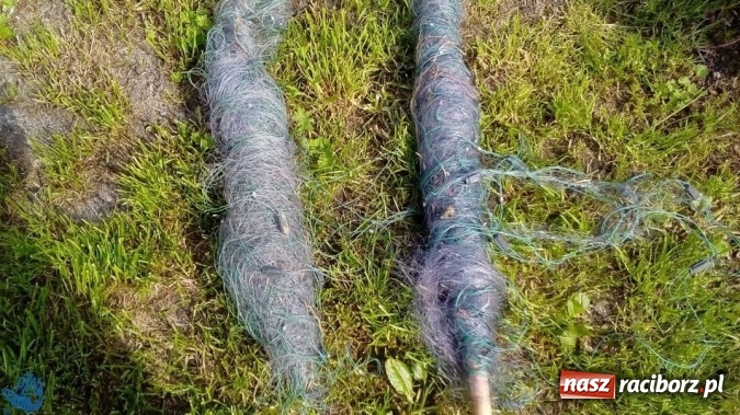 Zdjęcie w galerii na portalu naszraciborz.pl: Strażnicy Społecznej Straży Rybackiej zabezpieczyli sieci kłusownicze wiadomości z regionu