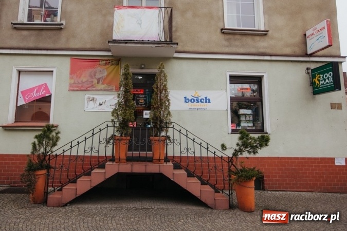 Zdjęcie w galerii na portalu naszraciborz.pl: Jak zadbać o Twojego sterylizowanego kota? wiadomości z regionu