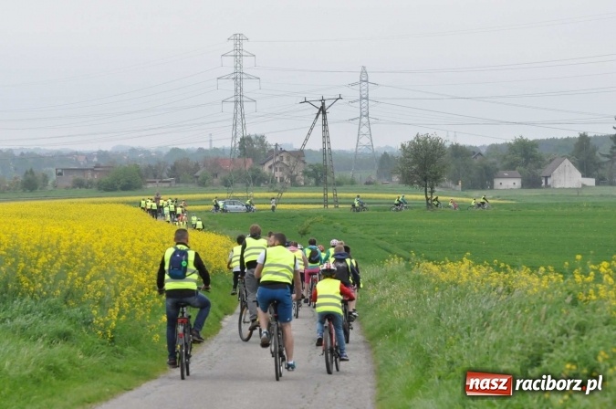 Zdjęcie w galerii na portalu naszraciborz.pl: Kornowac - gmina z widokami. Najlepiej podziwiać ją na rowerze wiadomości z regionu