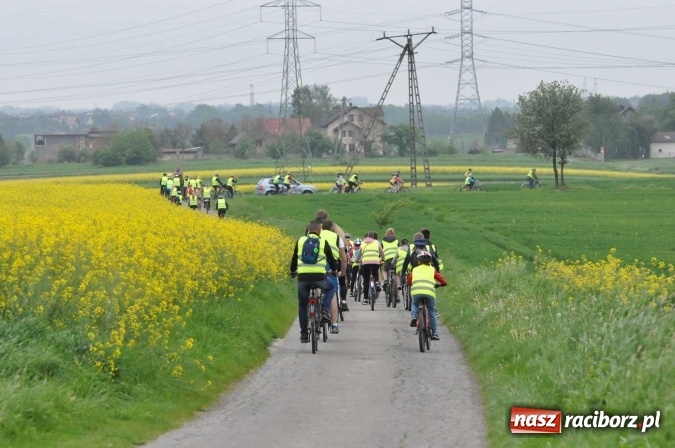 Zdjęcie w galerii na portalu naszraciborz.pl: Kornowac - gmina z widokami. Najlepiej podziwiać ją na rowerze wiadomości z regionu