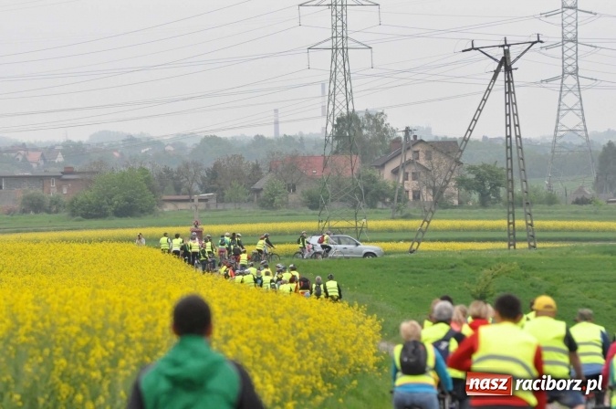 Zdjęcie w galerii na portalu naszraciborz.pl: Kornowac - gmina z widokami. Najlepiej podziwiać ją na rowerze wiadomości z regionu