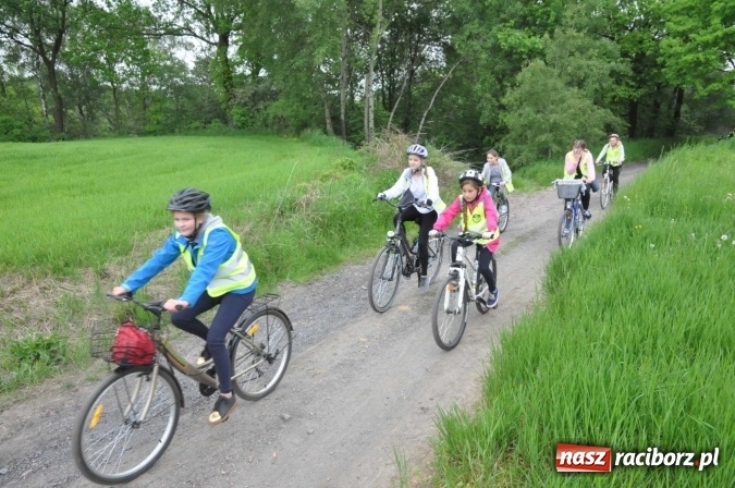 Zdjęcie w galerii na portalu naszraciborz.pl: Kornowac - gmina z widokami. Najlepiej podziwiać ją na rowerze wiadomości z regionu