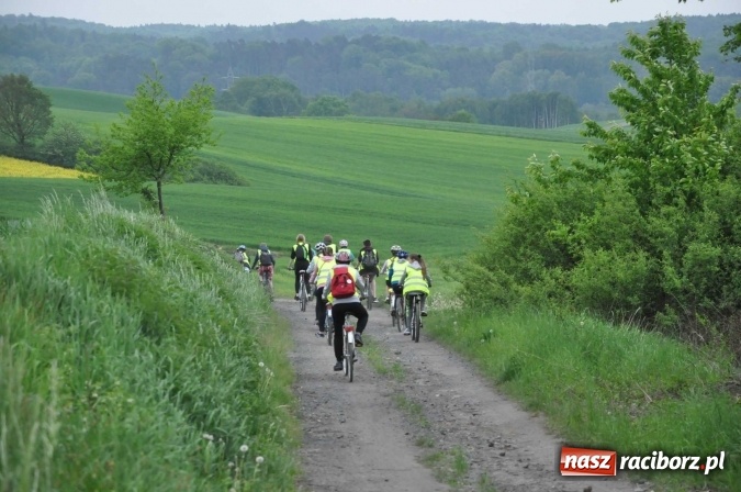 Zdjęcie w galerii na portalu naszraciborz.pl: Kornowac - gmina z widokami. Najlepiej podziwiać ją na rowerze wiadomości z regionu