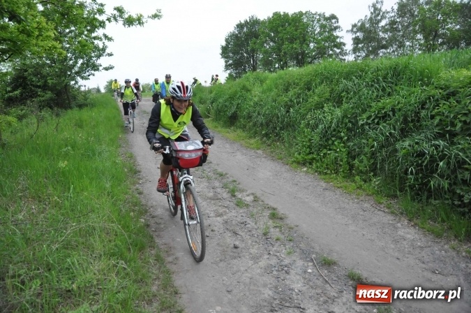 Zdjęcie w galerii na portalu naszraciborz.pl: Kornowac - gmina z widokami. Najlepiej podziwiać ją na rowerze wiadomości z regionu