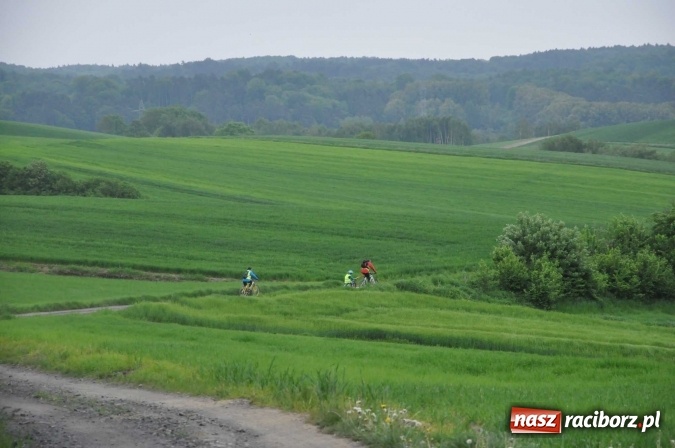 Zdjęcie w galerii na portalu naszraciborz.pl: Kornowac - gmina z widokami. Najlepiej podziwiać ją na rowerze wiadomości z regionu