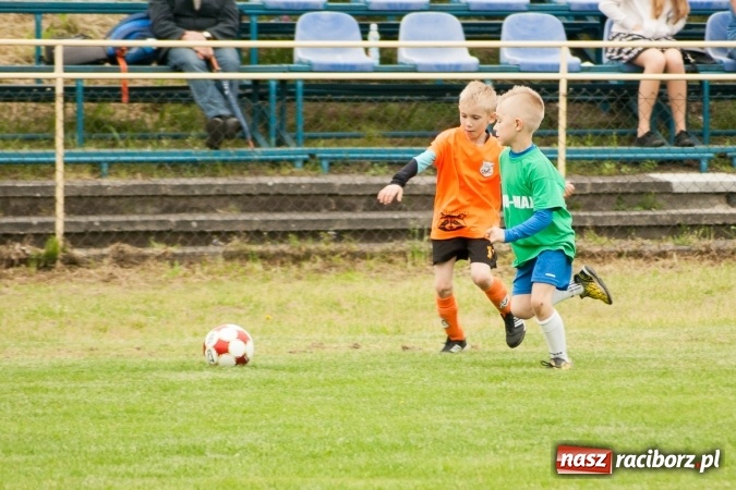 Zdjęcie w galerii na portalu naszraciborz.pl: Zmagania żaków Rafako i Pszowa przy Łąkowej wiadomości z regionu