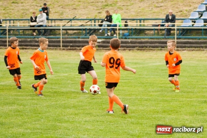 Zdjęcie w galerii na portalu naszraciborz.pl: Zmagania żaków Rafako i Pszowa przy Łąkowej wiadomości z regionu