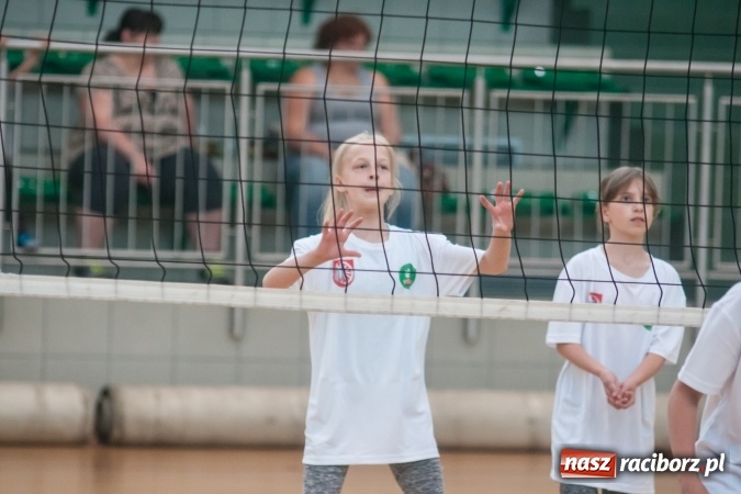 Zdjęcie w galerii na portalu naszraciborz.pl: Młodzi adepci siatkówki zagrali dla swoich mam już po raz piąty wiadomości z regionu