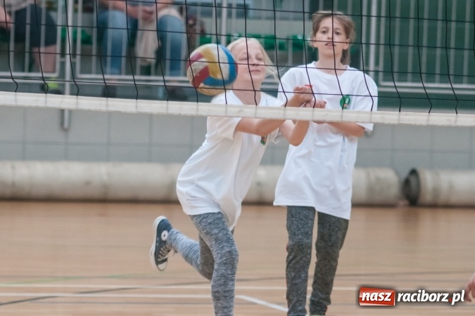 Zdjęcie w galerii na portalu naszraciborz.pl: Młodzi adepci siatkówki zagrali dla swoich mam już po raz piąty wiadomości z regionu