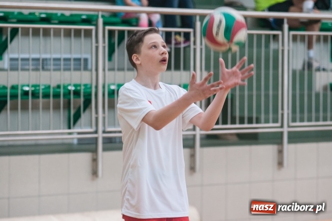 Zdjęcie w galerii na portalu naszraciborz.pl: Młodzi adepci siatkówki zagrali dla swoich mam już po raz piąty wiadomości z regionu