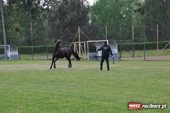 Zdjęcie w galerii na portalu naszraciborz.pl: Pospolite ruszenie dobrych serc. Razem dla Kewina w Rudach wiadomości z regionu