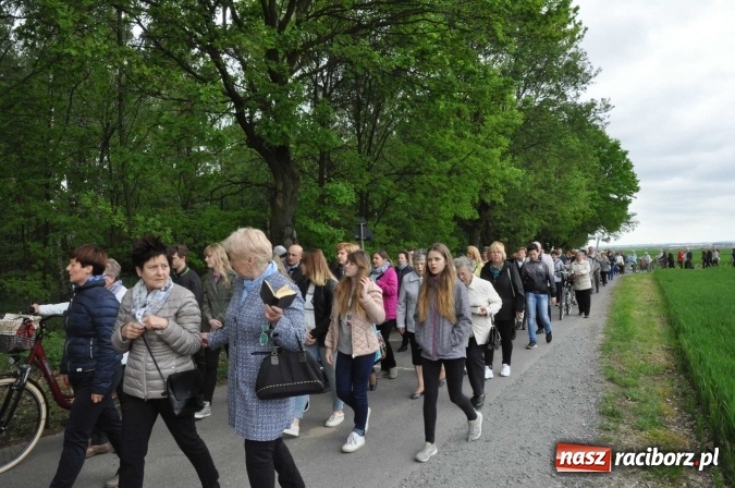 Zdjęcie w galerii na portalu naszraciborz.pl: W gościnie u świętego Urbana. Parafianie z Tworkowa, Bolesławia i czeskiej Haci na międzynarodowym odpuście wiadomości z regionu