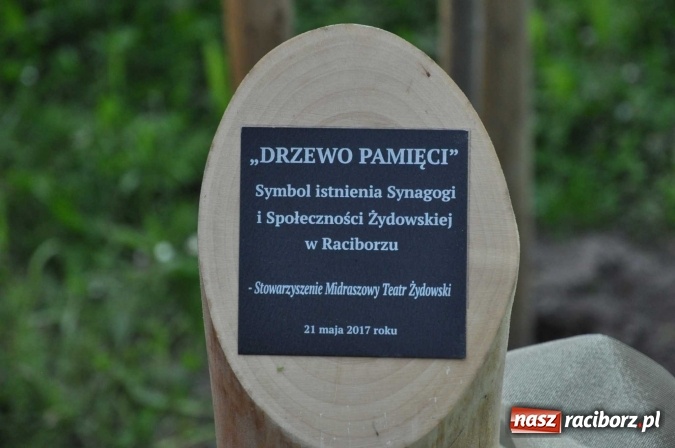 Zdjęcie w galerii na portalu naszraciborz.pl: Na skwerze Kresowian zasadzono Drzewo Pamięci wiadomości z regionu