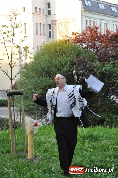 Zdjęcie w galerii na portalu naszraciborz.pl: Na skwerze Kresowian zasadzono Drzewo Pamięci wiadomości z regionu