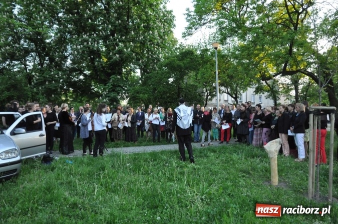 Zdjęcie w galerii na portalu naszraciborz.pl: Na skwerze Kresowian zasadzono Drzewo Pamięci wiadomości z regionu