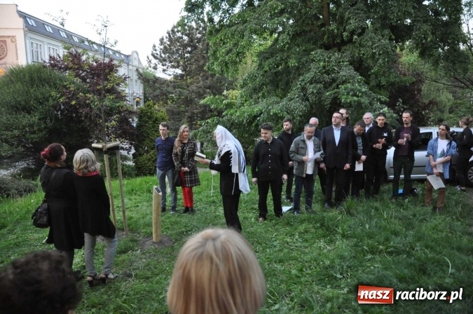 Zdjęcie w galerii na portalu naszraciborz.pl: Na skwerze Kresowian zasadzono Drzewo Pamięci wiadomości z regionu