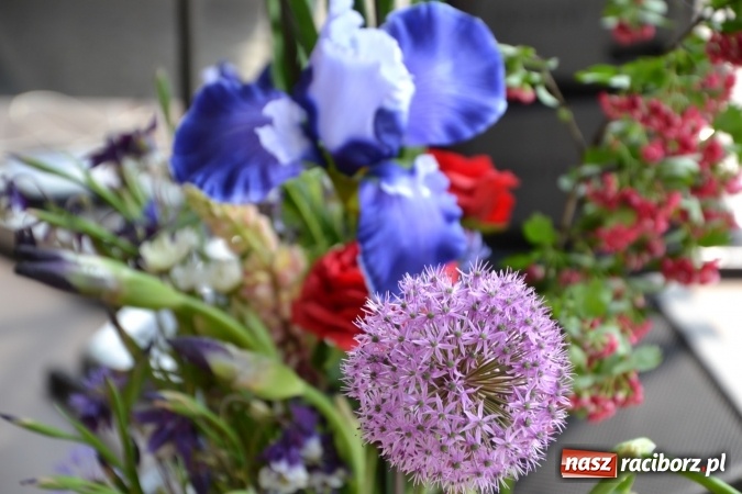 Zdjęcie w galerii na portalu naszraciborz.pl: Hiszpańska muzyka, przepiękne stroje i dekoracje, czyli Poemat dla Hiszpanii na Zamku Piastowskim  wiadomości z regionu