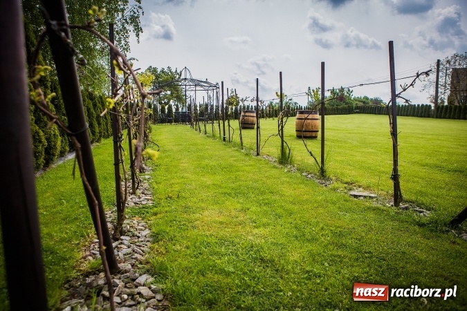 Zdjęcie w galerii na portalu naszraciborz.pl: Wesele jak z bajki? Powierz jego organizację profesjonalistom! wiadomości z regionu