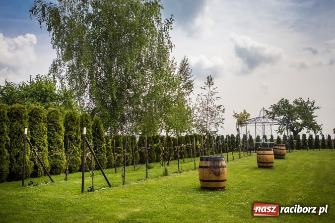 Zdjęcie w galerii na portalu naszraciborz.pl: Wesele jak z bajki? Powierz jego organizację profesjonalistom! wiadomości z regionu