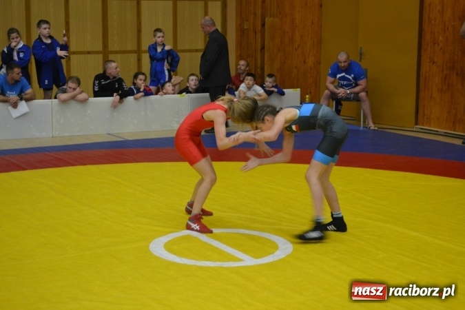 Zdjęcie w galerii na portalu naszraciborz.pl: Świetny start zapaśników Unii Racibórz w Czechach wiadomości z regionu