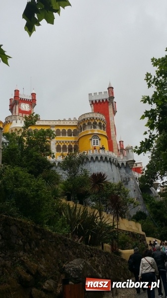 Zdjęcie w galerii na portalu naszraciborz.pl: Technicy budownictwa i architektury krajobrazu z CKZiU nr 1 na praktykach w Portugalii wiadomości z regionu