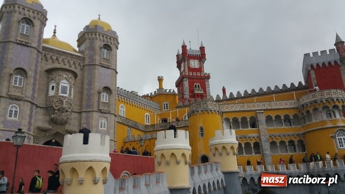 Zdjęcie w galerii na portalu naszraciborz.pl: Technicy budownictwa i architektury krajobrazu z CKZiU nr 1 na praktykach w Portugalii wiadomości z regionu