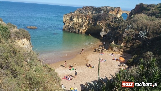Zdjęcie w galerii na portalu naszraciborz.pl: Technicy budownictwa i architektury krajobrazu z CKZiU nr 1 na praktykach w Portugalii wiadomości z regionu