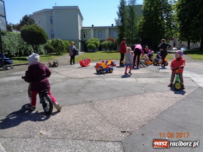 Zdjęcie w galerii na portalu naszraciborz.pl: Baw się z nami, Fikusiami  wiadomości z regionu