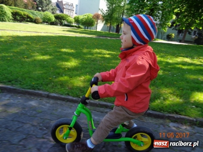 Zdjęcie w galerii na portalu naszraciborz.pl: Baw się z nami, Fikusiami  wiadomości z regionu